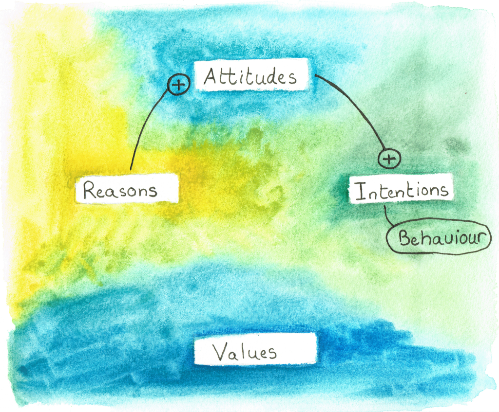 Positive (+) reasons influence positive (+) attitudes which in turn influence behaviour.