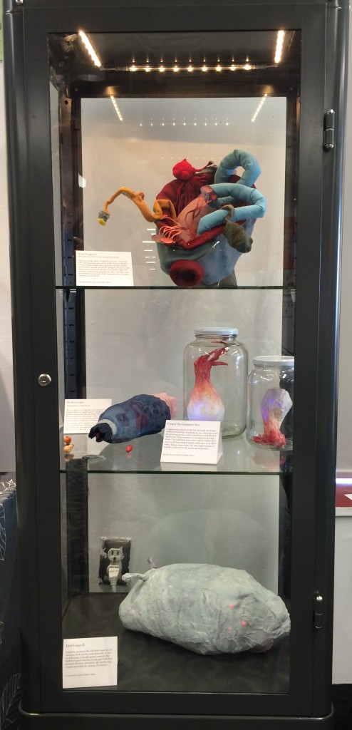 Display case of Coapet artefacts from "Rise and Fall of Cordycepts"