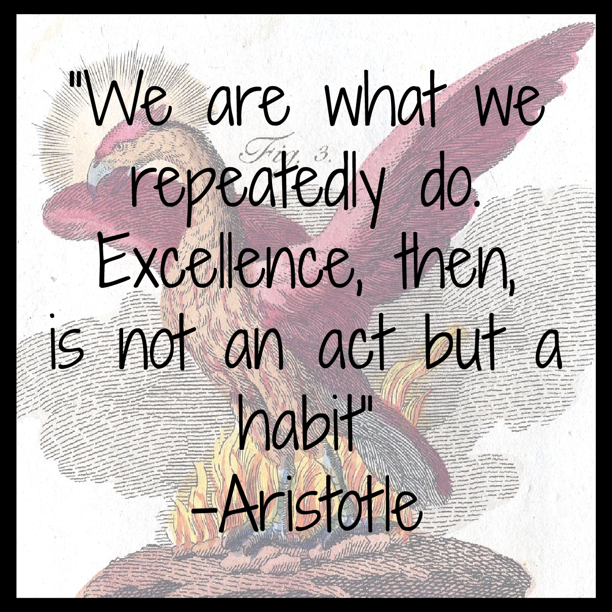 Excellence is a habit